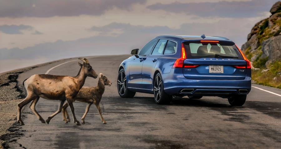  Volvo V90 T6 R-Design 2017 года  (NA) (фото 6 из 18)